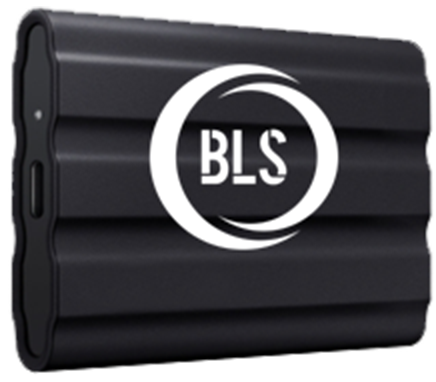 Image of the BLAGS network